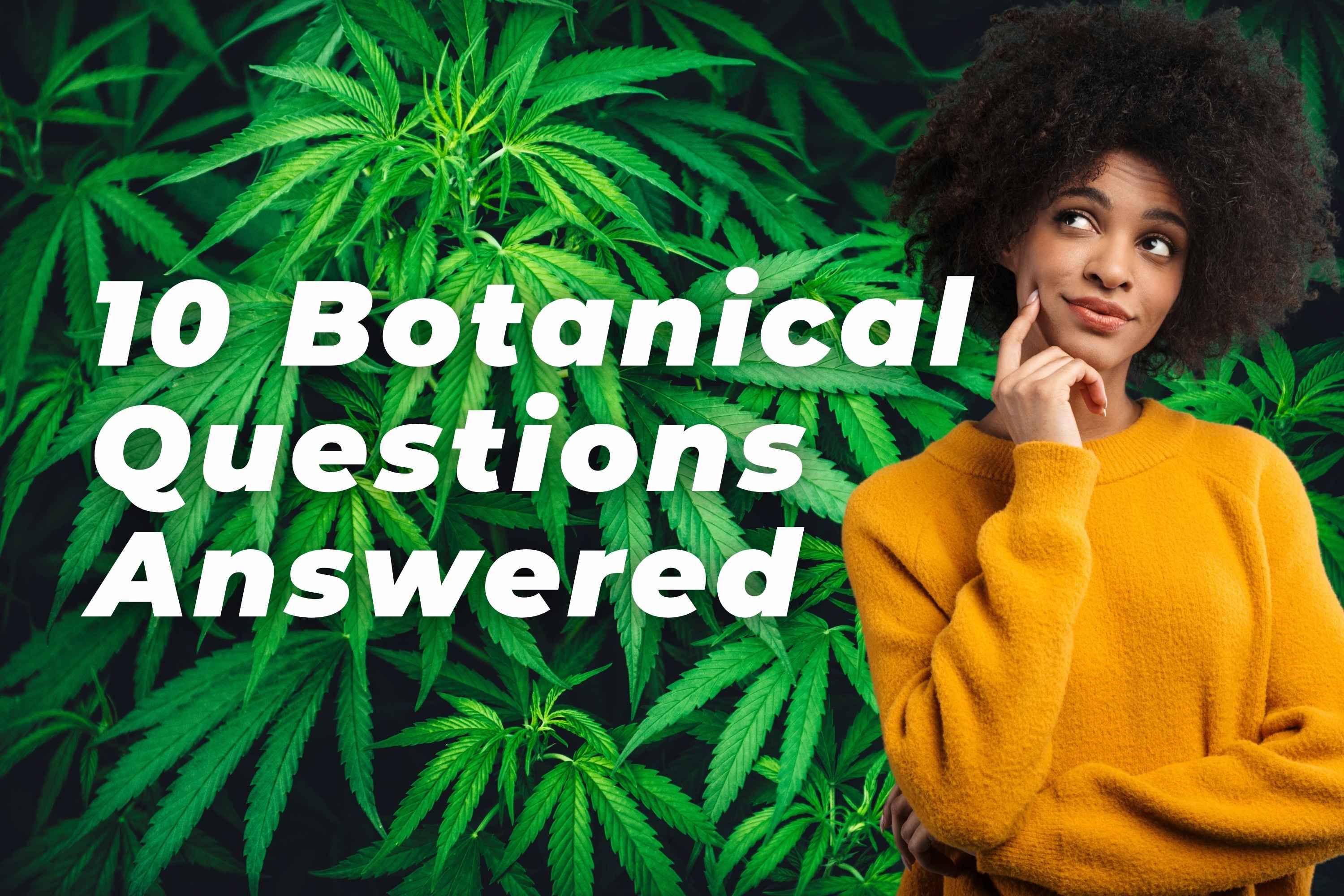 Top 10 Botanical Questions Answered
